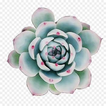 Cut flowers Flowerpot Artificial flower Petal -  