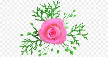 Cut flowers Garden roses Floral design Flower bouquet - see this 