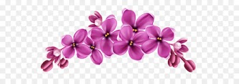 Cut flowers Instagram Video - flower 
