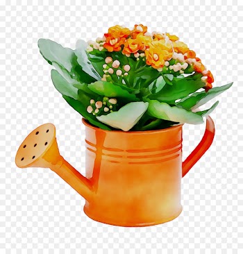 Cut flowers Microsoft PowerPoint Presentation Floristry -  