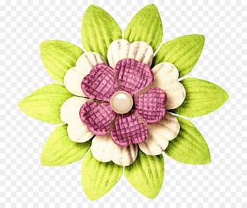 Cut Flowers, Petal, Common Lilac, Flower PNG