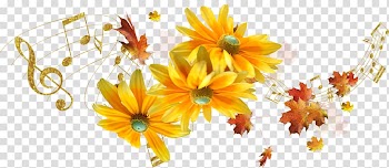 Cut flowers Petal Floral design Floristry, autumn transparent background PNG clipart