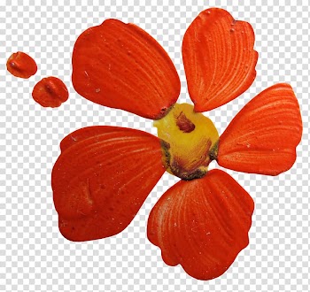 Cut flowers Petal Fruit, flower transparent background PNG clipart