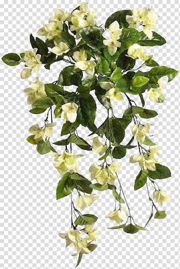 Cut flowers Plant stem Flowering plant, others transparent background PNG clipart