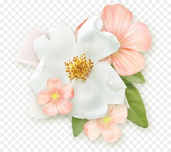 Cut flowers Rose Petal Flower bouquet - flower 