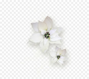 Cut flowers Rose Petal Flower bouquet - flower 