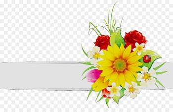 Cut flowers Transvaal daisy Floral design Flower bouquet -  