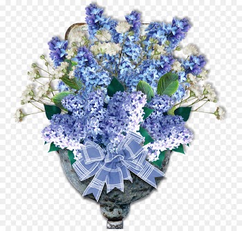 Cut flowers Violet Purple - lilac flower 