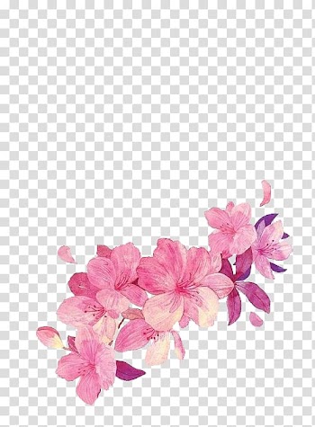 Cut flowers Watercolor painting , flower transparent background PNG clipart