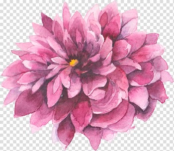 Cut flowers Watercolor painting Wedding, hand painted flower transparent background PNG clipart