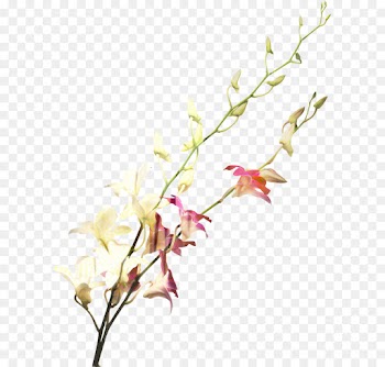 Cut Flowers, Wedding Anniversary, Floral Design, Flower, Branch PNG