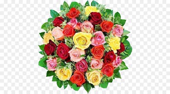 Cut flowers Wreath Rose WhatsApp - flower 