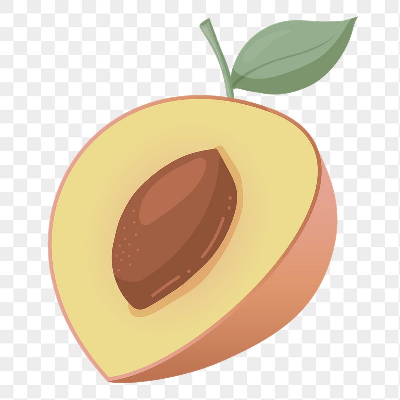 Cut peach png sticker, cute | Free PNG Illustration - rawpixel