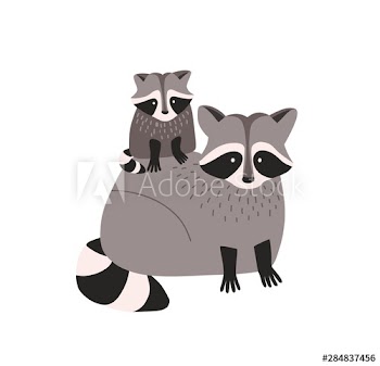 Cute amusing raccoon with cub isolated on white background