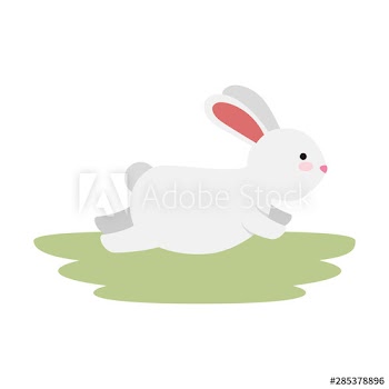 cute and little rabbit in the field character