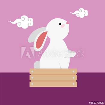 cute and little rabbit in wooden box character