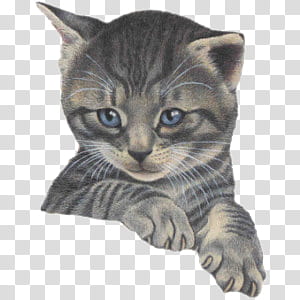 Cute animals II, silver tab transparent background PNG clipart