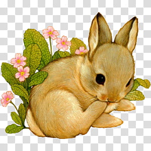 Cute animals s, brown bunny illustration transparent background PNG clipart