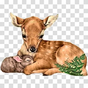 Cute animals s, brown doe and rabbit illustration transparent background PNG clipart