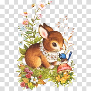 Cute animals s, brown rabbit illustration transparent background PNG clipart