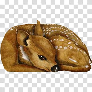 Cute animals s, brown spotted deer transparent background PNG clipart