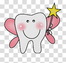 Cute animals , tooth fairy illustration transparent background PNG clipart