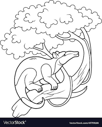 cute anteater