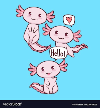 cute axolotls