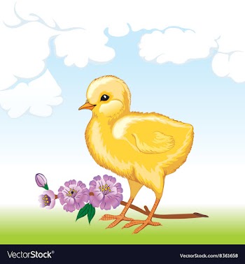 Cute Baby Chick vector image