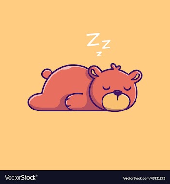 cute bear sleeping cartoon