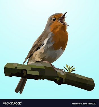 cute bird