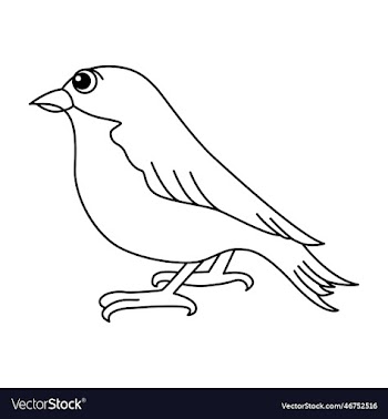 cute bird cartoon coloring page for kids