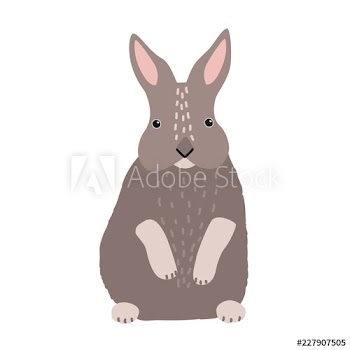 Cute bunny or rabbit isolated on white background