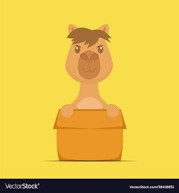 cute camel playing box cartoon