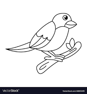 cute canaries bird cartoon coloring page