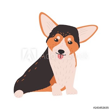 Cute Cardigan Welsh Corgi