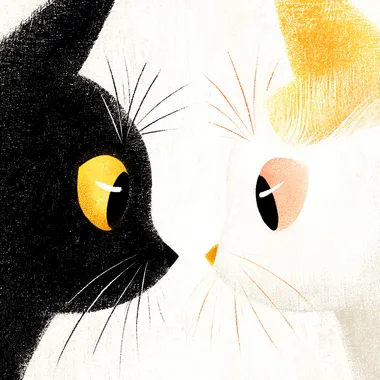 Cute Cartoon Black and White Cats Face Off Cute Cartoon Black and White Cats Face Off