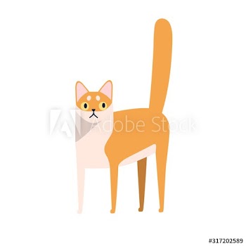 Cute cartoon domestic animal breed vector flat illustration