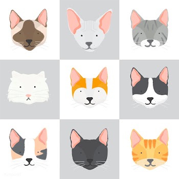 Cute cat collection | Free stock vector - 60535