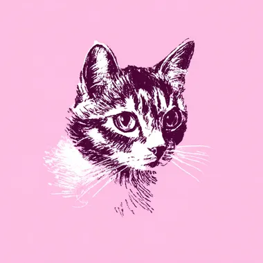 Cute Cat Illustration on Pink Background Cute Cat Illustration on Pink Background