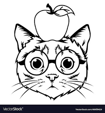 cute cat in glasses