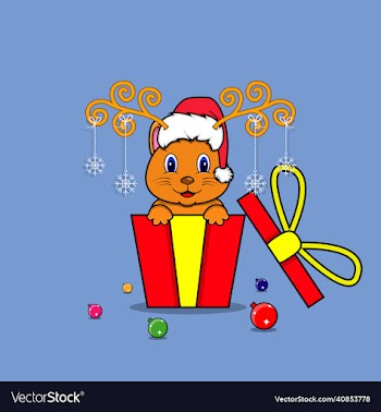 cute cat on gift with santa claus hat