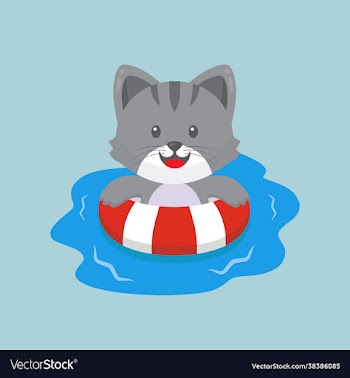 cute cat swimming summer cartoon