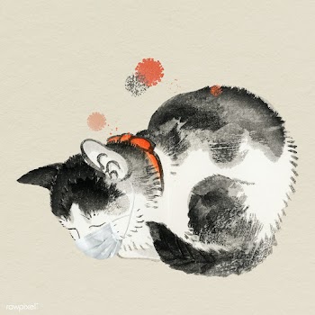 Cute cat wearing a surgical mask during the coronavirus pandemic  | Free  illustration - 2317987