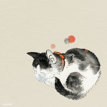 Cute cat wearing a surgical mask during the coronavirus pandemic  | Free  illustration - 2318158
