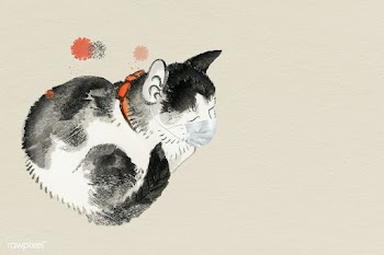 Cute cat wearing a surgical mask during the coronavirus pandemic  | Free  illustration - 2318165