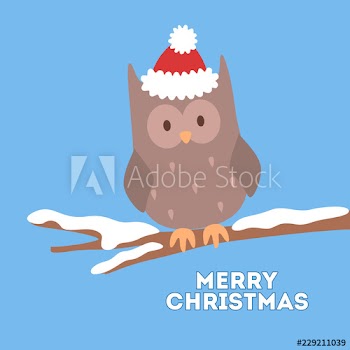 Cute christmas owl in red Santa hat