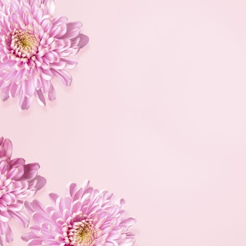 Cute chrysanthemum flower aesthetic border | Free Photo - rawpixel