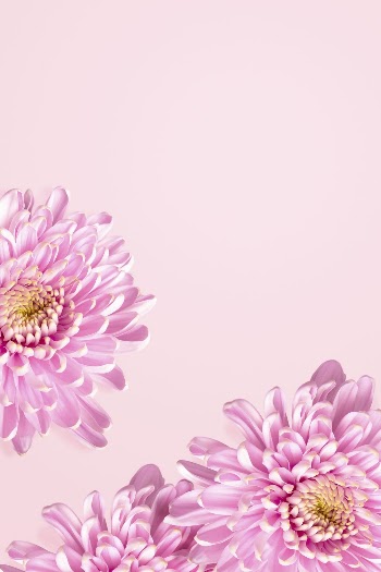 Cute chrysanthemum flower aesthetic border | Free Photo - rawpixel