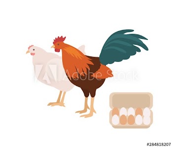 Cute cock, chicken and carton or box full of eggs